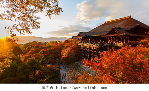 在秋天里的日本建筑日本旅游